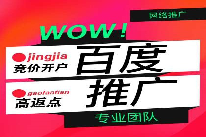 百度品牌推广案例：实战解析品牌塑造策略